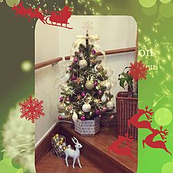 玄関/入り口/クリスマス/クリスマスディスプレイのインテリア実例 - 2016-11-19 23:03:38