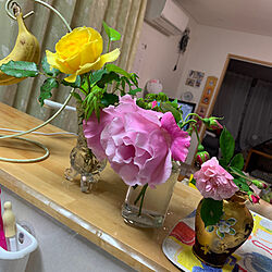 バラが好き/お花サークル/キッチンのインテリア実例 - 2023-04-29 21:05:31