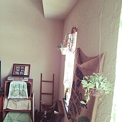 壁/天井/観葉植物/DIY/古いもののインテリア実例 - 2014-05-19 08:51:54