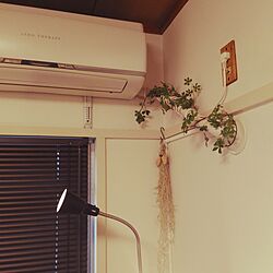 壁/天井/DIY/フェイクグリーン/賃貸/配線のインテリア実例 - 2017-05-04 18:29:46