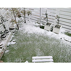 玄関/入り口/雪/庭のインテリア実例 - 2022-01-14 07:52:06