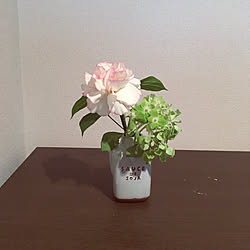 お花を飾る/お花のある暮らし/花瓶の代用品/醤油入れのインテリア実例 - 2020-10-18 12:30:10