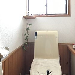 バス/トイレ/ニトリ/観葉植物のインテリア実例 - 2017-04-29 09:53:16