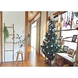 玄関/入り口/丸いす/クリスマスツリー/飾り棚DIY/グリーンのある暮らし...などのインテリア実例 - 2016-12-19 16:28:58