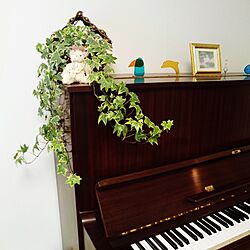 リビング/アイビー/観葉植物のある部屋/ピアノのある部屋/ピアノ...などのインテリア実例 - 2017-06-07 12:31:23