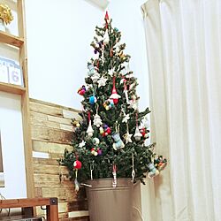 リビング/salut!/seria/クリスマスツリー/IKEAのインテリア実例 - 2016-12-27 14:42:51