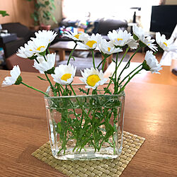 キッチン/ノースポール/花/花のある暮らし/春の花のインテリア実例 - 2018-04-29 11:20:55