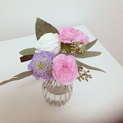 棚/natural kitchen/植物/Aoyama Flower Market/ナチュラルキッチンのインテリア実例 - 2013-11-14 22:59:44