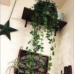 壁/天井/シュガーバイン/カフェ看板/バスロールサイン/観葉植物...などのインテリア実例 - 2016-01-11 18:37:20