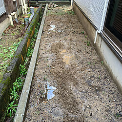 狭い庭/庭づくり/土壌改良/水はけ悪い庭/玄関/入り口のインテリア実例 - 2020-06-08 13:57:34