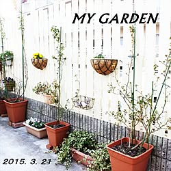 玄関/入り口/板塀完成！/Garden＊/leonaさんち風～！/フェイク仲間☆...などのインテリア実例 - 2015-03-21 09:49:02