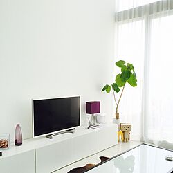 部屋全体/差し色/ミニマリスト/IKEA/観葉植物のインテリア実例 - 2015-08-23 17:54:33