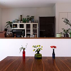 キッチン/植物/雑貨/フラワーベース/食器のインテリア実例 - 2013-03-14 12:24:00
