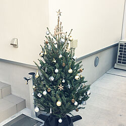 玄関/入り口/クリスマスツリー/IKEA/セリア/IKEAモミの木のインテリア実例 - 2017-12-03 14:52:03