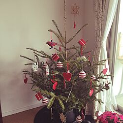 リビング/クリスマスツリー/IKEA/ヒンメリのインテリア実例 - 2015-12-02 14:56:30