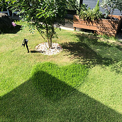 ウッドプランター DIY/DIY/ハートマーク/庭の芝刈り/玄関/入り口のインテリア実例 - 2022-09-29 14:05:35