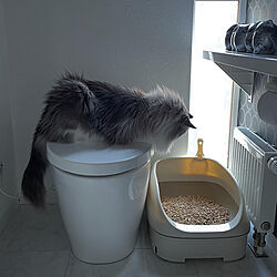 猫ちゃん想い/ねこと暮らす/ニャンとも清潔トイレ/ねこのいる日常/猫トイレ...などのインテリア実例 - 2022-05-26 09:14:58
