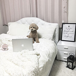 Mac/Macのある部屋/MacBook Air/ニトリ/ベッド...などのインテリア実例 - 2018-02-16 03:39:17