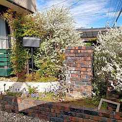 花のある暮らしを楽しむ/雪柳/咲いた～♪/おうち時間/のんびり暮らす...などのインテリア実例 - 2023-03-24 15:29:51