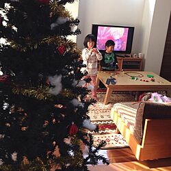 リビング/クリスマスツリーのインテリア実例 - 2013-11-24 14:38:33