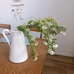 フラワーベース　IKEA/お花のある暮らし/コデマリ/IKEA 花瓶/unico テーブル...などのインテリア実例 - 2021-04-02 16:22:16