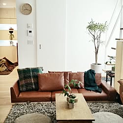 部屋全体/ソファー/観葉植物/無垢材の床/グリーンのある暮らし...などのインテリア実例 - 2016-11-02 08:27:09