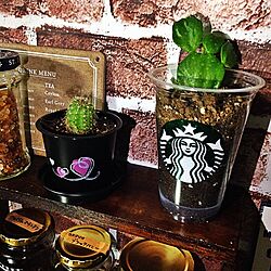 キッチン/コーヒー/スターバックス/ハンドメイド/STARBUCKS COFFEE...などのインテリア実例 - 2017-02-10 01:06:39