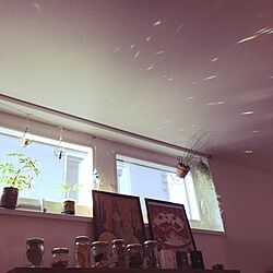 壁/天井/サンキャッチャー/照明/植物のある暮らし/観葉植物...などのインテリア実例 - 2017-06-30 18:24:23
