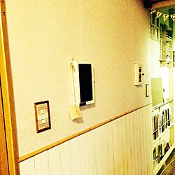 リビング/DIY/バターミルクペイント/壁塗りました/いなざうるす屋さん...などのインテリア実例 - 2014-04-13 20:41:27