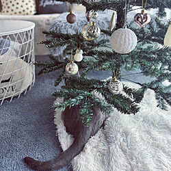 ミッキー&ミニー/おはようございます♡/クリスマス/IKEA/クリスマスツリー...などのインテリア実例 - 2023-12-25 07:38:15