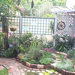 玄関/入り口/植物/花/ガーデニング/手作りの庭...などのインテリア実例 - 2016-05-27 18:59:15