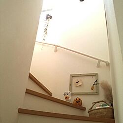 部屋全体/室内グリーン/階段のインテリア実例 - 2013-09-20 14:13:36