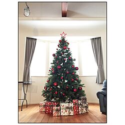 リビング/クリスマスツリー/コストコ/クリスマスのインテリア実例 - 2015-11-19 14:22:00