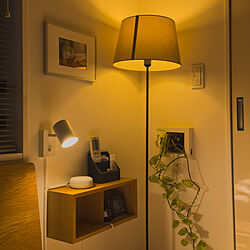ベッド周り/寝室の照明/echo dot/リメイク/IKEA...などのインテリア実例 - 2024-01-21 17:41:00