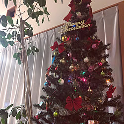 クリスマス/クリスマスツリー/癒しの空間/植物のある暮らし/リビングのインテリア実例 - 2020-11-10 20:11:02