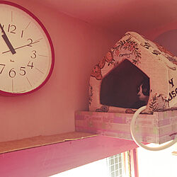 ピンク/ペンキ塗り/カラフルな部屋/ねこ部/猫棚...などのインテリア実例 - 2021-12-13 11:17:45