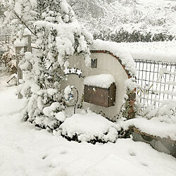 玄関/入り口/玄関ドアが開くかチェック！/雪がぁ！！/ヤバイです/NEOとも...などのインテリア実例 - 2018-01-22 18:01:14