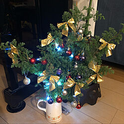 クリスマスツリー/リビングのインテリア実例 - 2021-12-23 05:43:53