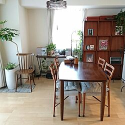 部屋全体/ダイニング/観葉植物/観葉植物のある部屋/ウンべラータ...などのインテリア実例 - 2017-01-11 01:34:27