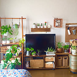 部屋全体/壁面ディスプレイ/観葉植物のある暮らし/10000人の暮らし/狭小でも諦めない...などのインテリア実例 - 2018-02-23 20:22:53