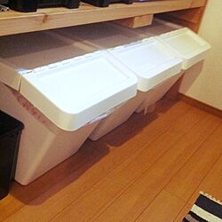 キッチン/ゴミ箱/IKEAのインテリア実例 - 2015-03-05 11:15:31