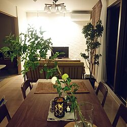 部屋全体/植物/ニトリ/無垢材/花と暮らす...などのインテリア実例 - 2016-06-17 20:34:04