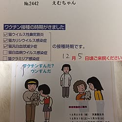 ベッド周り/おてがみ。/かわいい♥︎/にゃんこと二人暮らし♡/宝物。...などのインテリア実例 - 2016-11-29 17:32:38