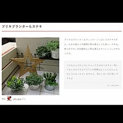 多肉植物/寄せ植え/星形オブジェ/インテリア/ダイソー...などのインテリア実例 - 2016-09-30 16:34:59