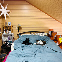 仲良く寝る猫/ロフトベッド/IKEAサイドテーブル/IKEAスター型ライト/黒猫ミースケ...などのインテリア実例 - 2023-04-27 23:36:49