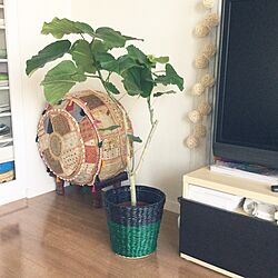リビング/IKEA/マライカ/観葉植物のインテリア実例 - 2015-05-27 08:58:08