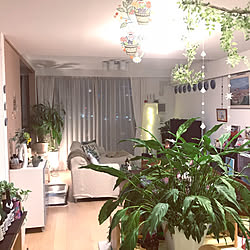 部屋全体/観葉植物/緑のある空間/フェイクグリーン/スパティフィラム♡...などのインテリア実例 - 2018-03-12 07:30:09