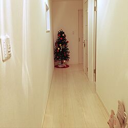 玄関/入り口/コストコオーナメント/クリスマスツリーのインテリア実例 - 2016-12-21 12:15:14