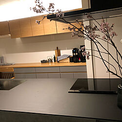 キッチン/枝物/2階リビング/桜のインテリア実例 - 2020-03-13 20:43:10
