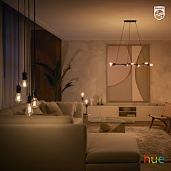 照明計画/Philips Hue/スマート照明/スマートホーム/お洒落な空間...などのインテリア実例 - 2023-06-28 13:49:24